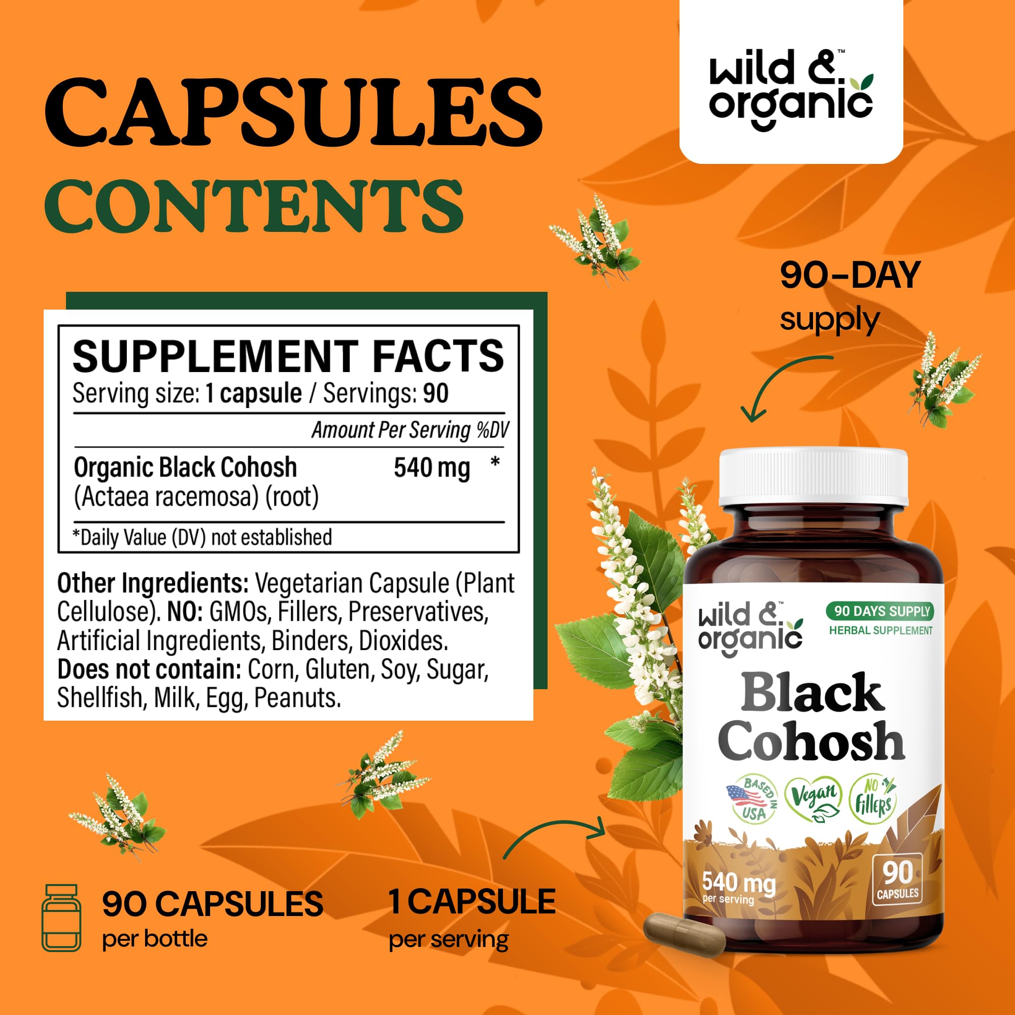 Actaea racemosa black cohosh root capsules illustration