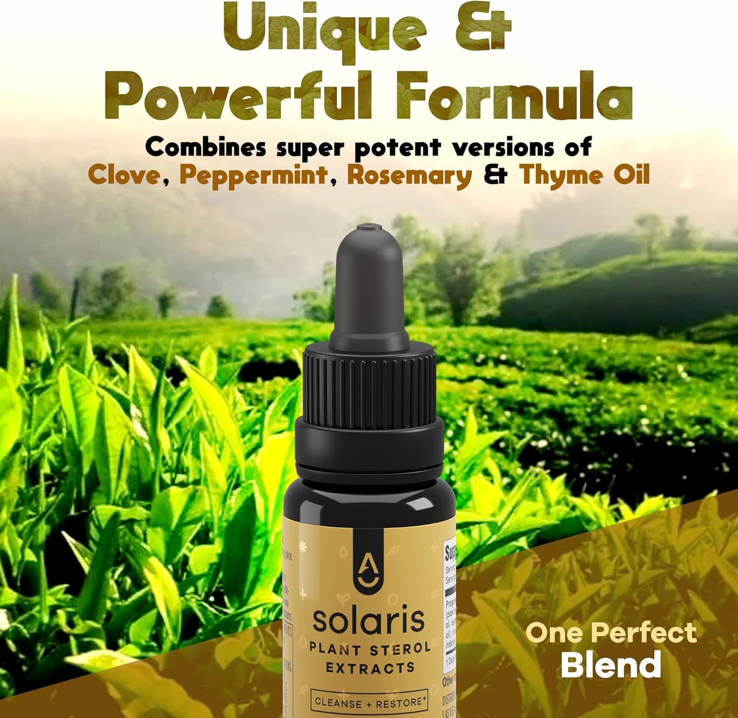 Diffuse with Solaris Essential Oil releasing a refreshing aroma