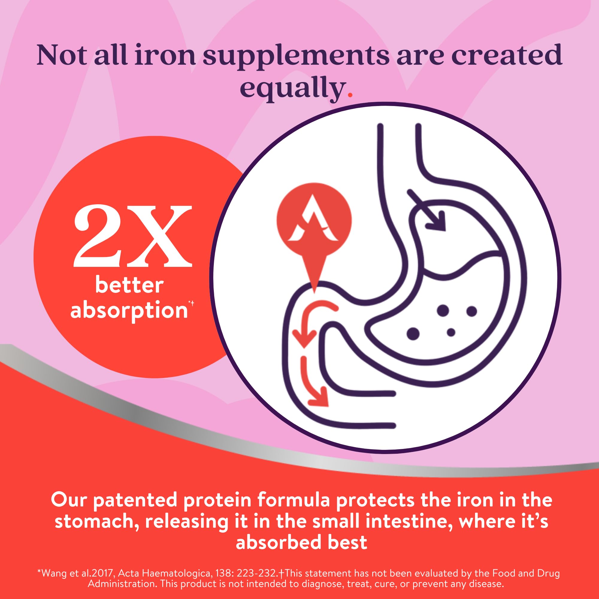 Diagram of whey protein formula improving absorption