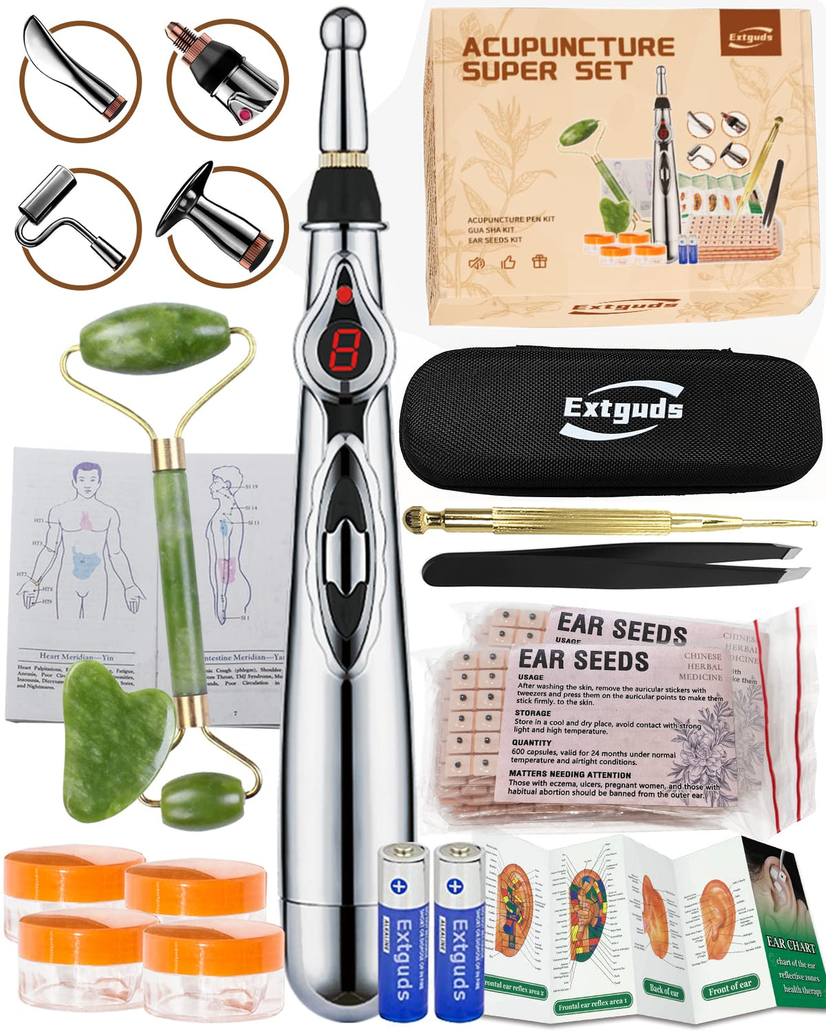 5-Head Electronic Acupuncture Pen with accessories
