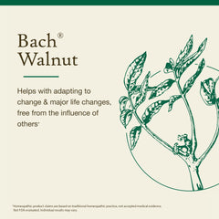 Concept image showing adaptation to change with Walnut remedy