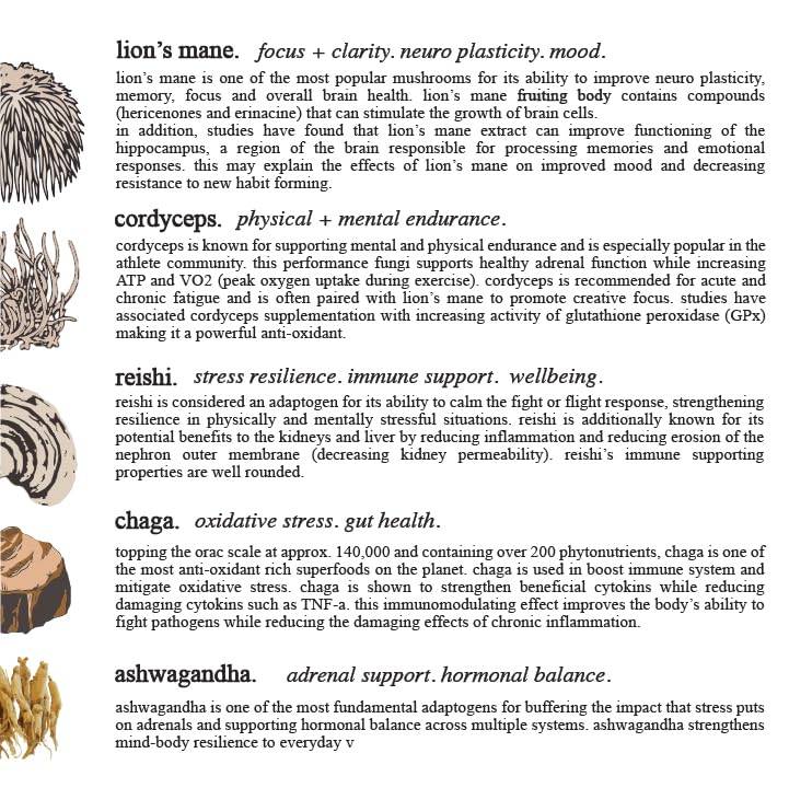 Company background: 10+ years in the industry and farm-direct sourcing