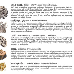 Company background: 10+ years in the industry and farm-direct sourcing