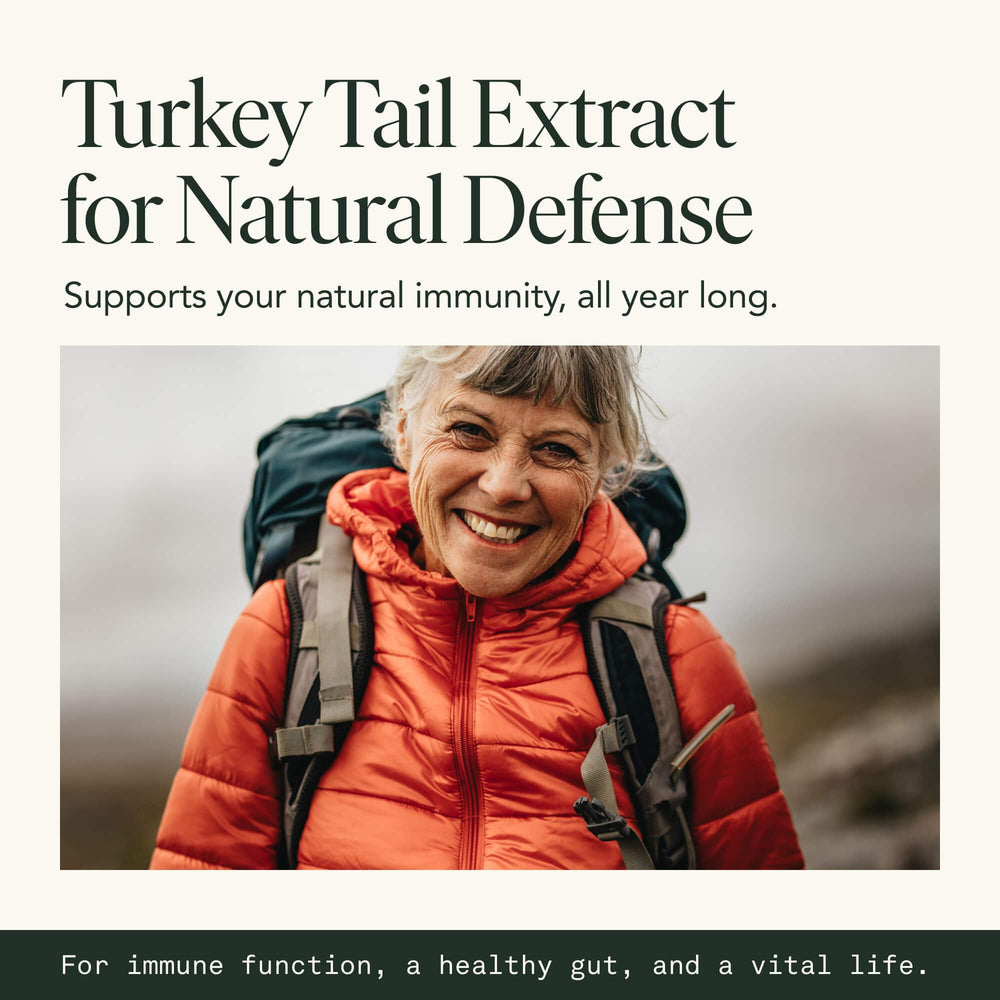Adaptogen mushrooms featuring turkey tail