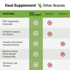 Graphic highlighting adaptogenic benefits: relaxation, energy, brain health