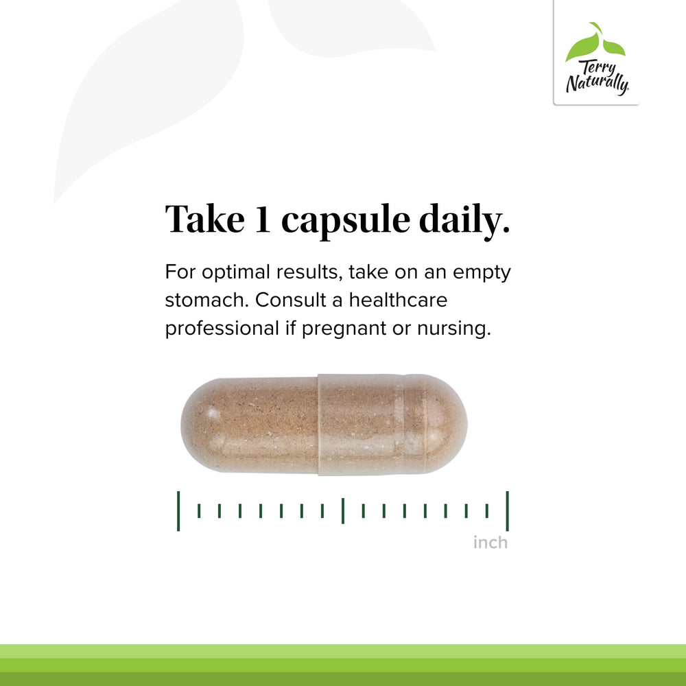 Two Adaptra bottles (pack of 2) with 60 capsules each