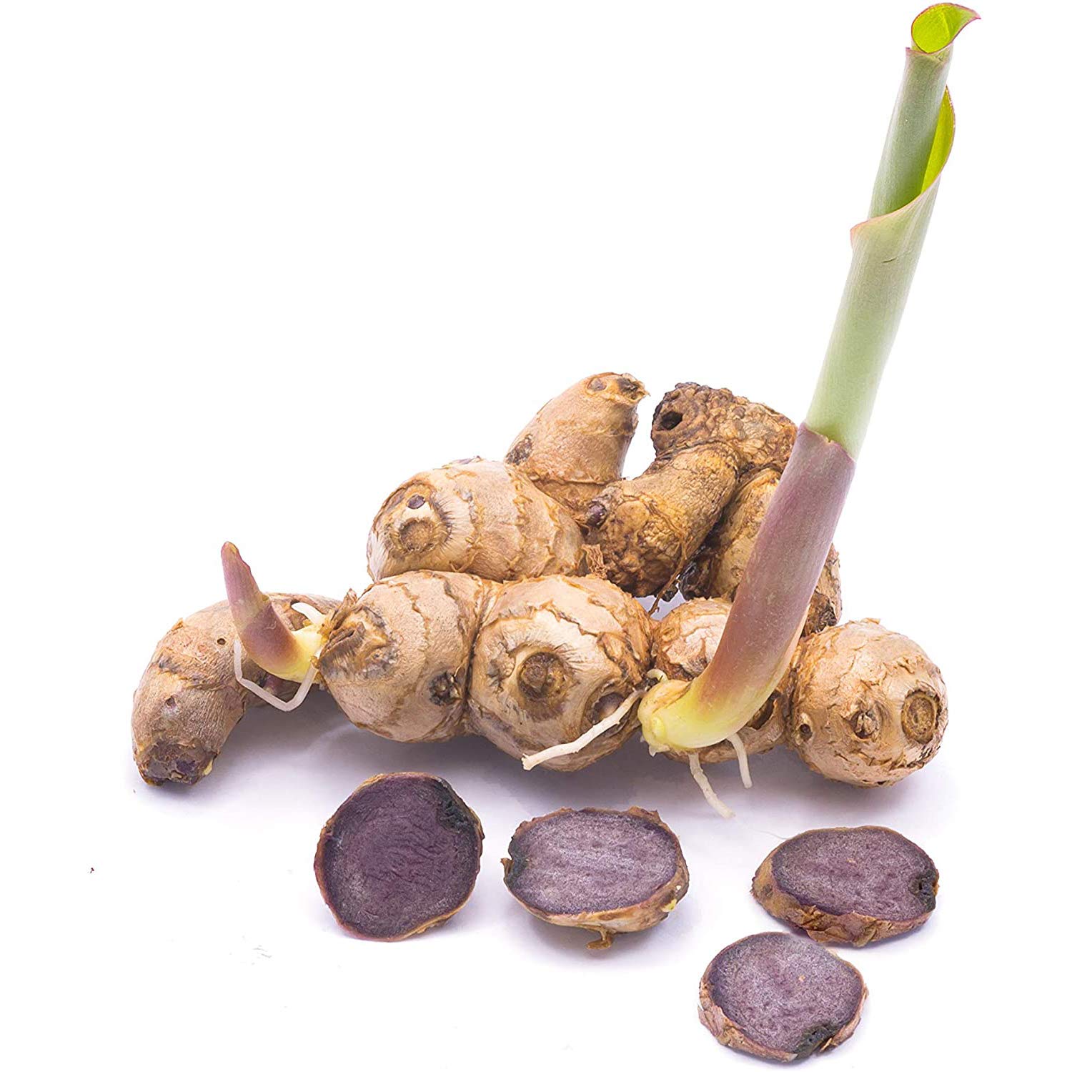 500-count bottle of Addictive Wellness Black Ginger Capsules