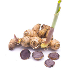 500-count bottle of Addictive Wellness Black Ginger Capsules