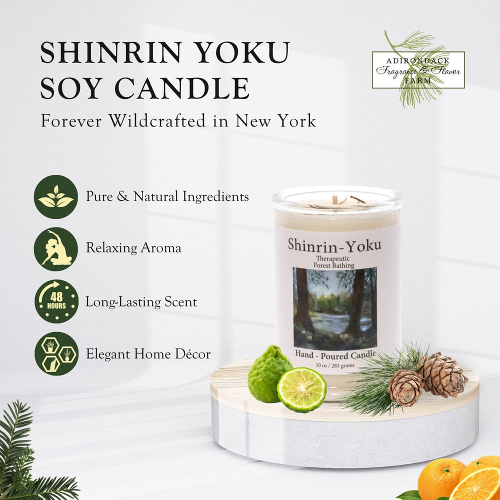 Adirondack Shinrin Yoku candle label closeup highlighting premium ingredients and clean burn.