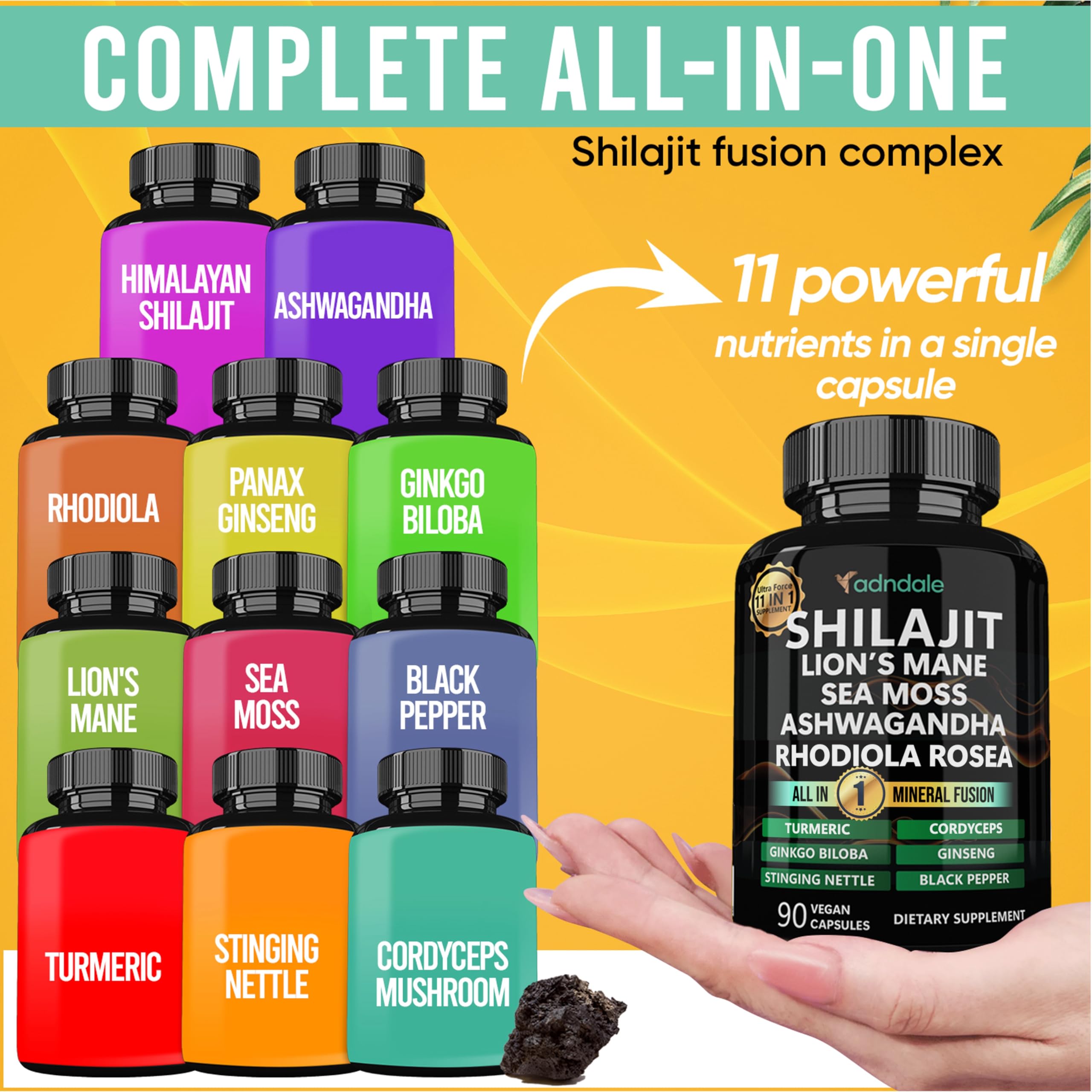 Panax Ginseng and Ginkgo Biloba in capsules