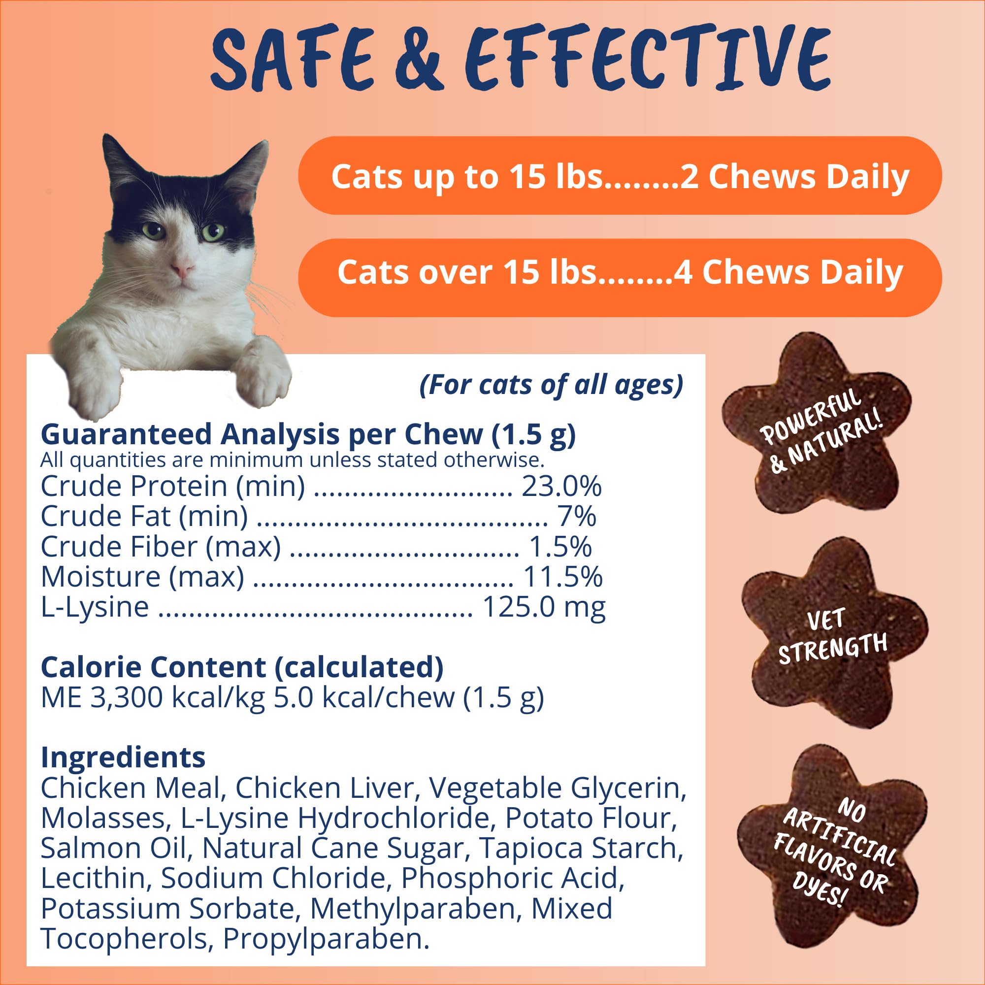 Image illustrating pet adoption support funded by sales