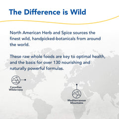 Adrenal support and natural energy from ChagaMax
