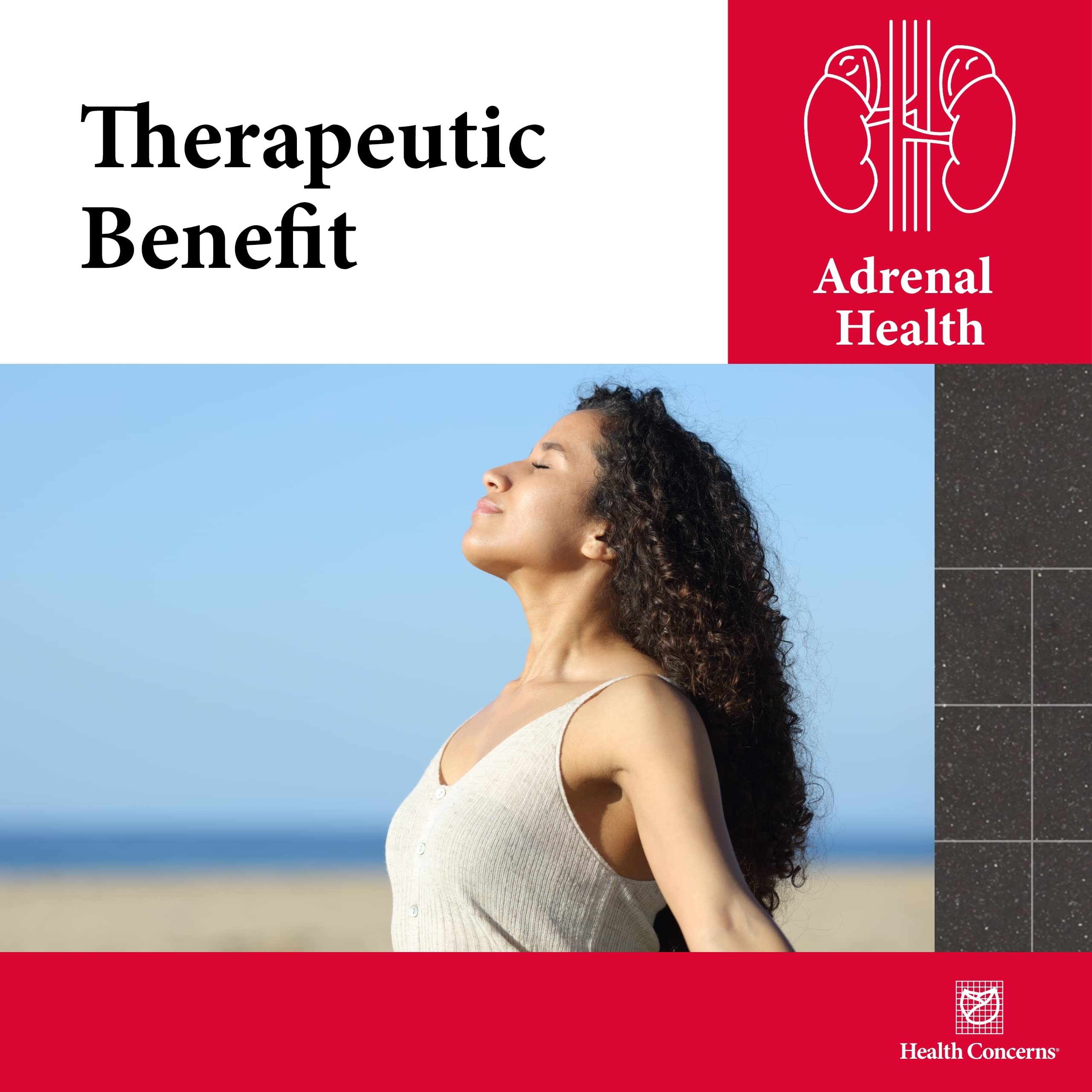 Herbal ingredients Eleuthero, Schisandra, and Chinese Yam in Adrenosen