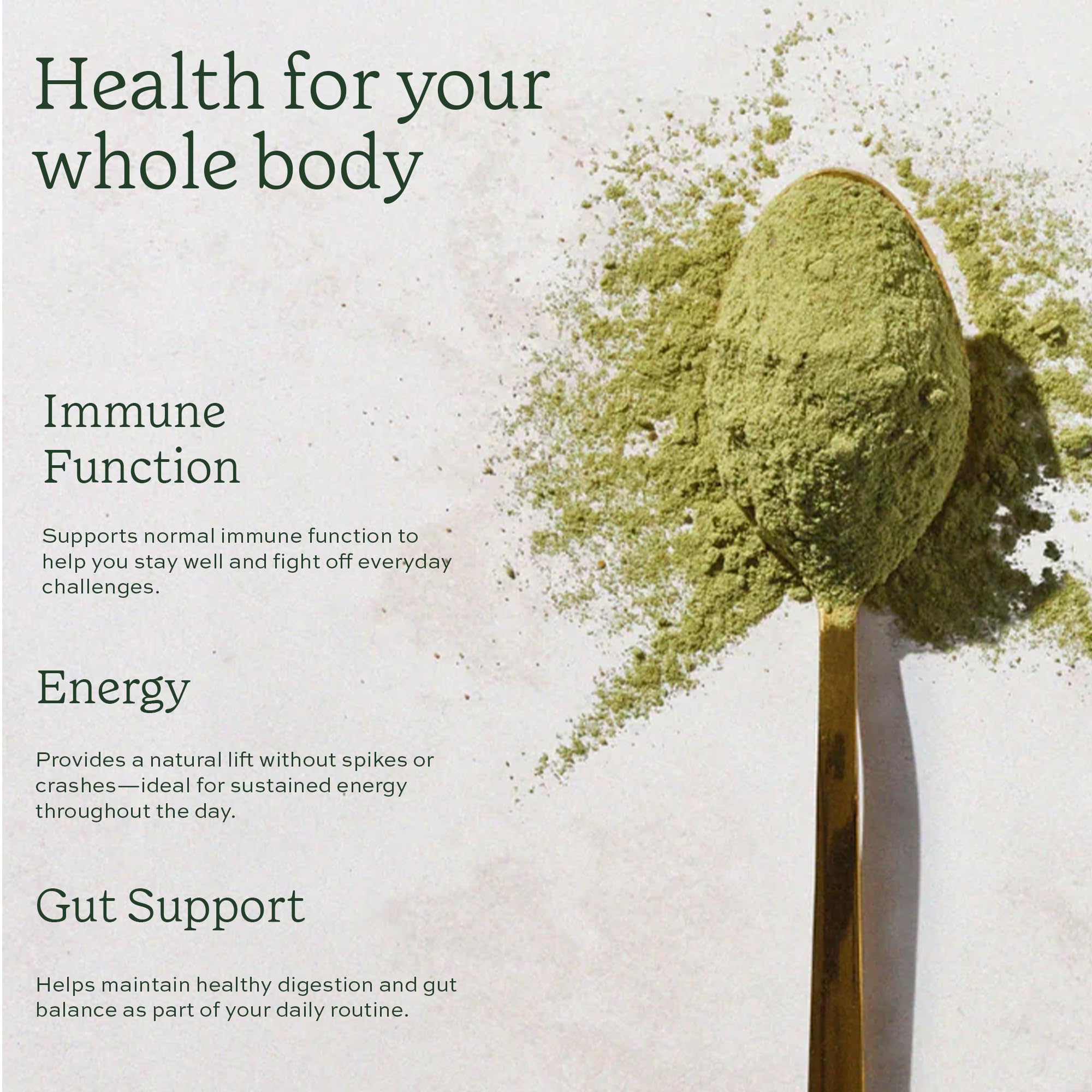 Ingredients: moringa, spirulina, chlorella and baobab laid out
