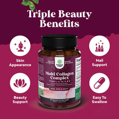 Graphic showing Type 1, 2, 3, 5 and X collagen types