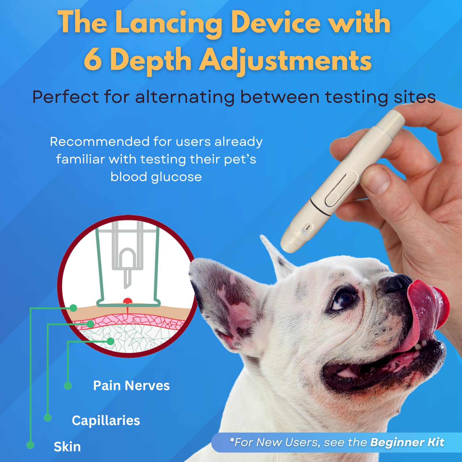 Advocate Pettest 25 lancets for home testing