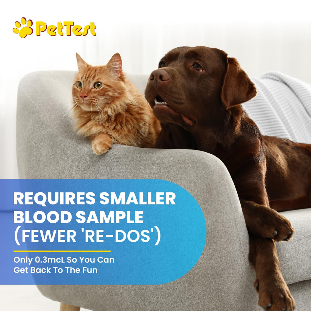 Advocate Pettest 25 test strips ready for use