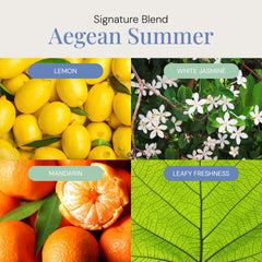 Diffuser using Aegean Summer aroma oil