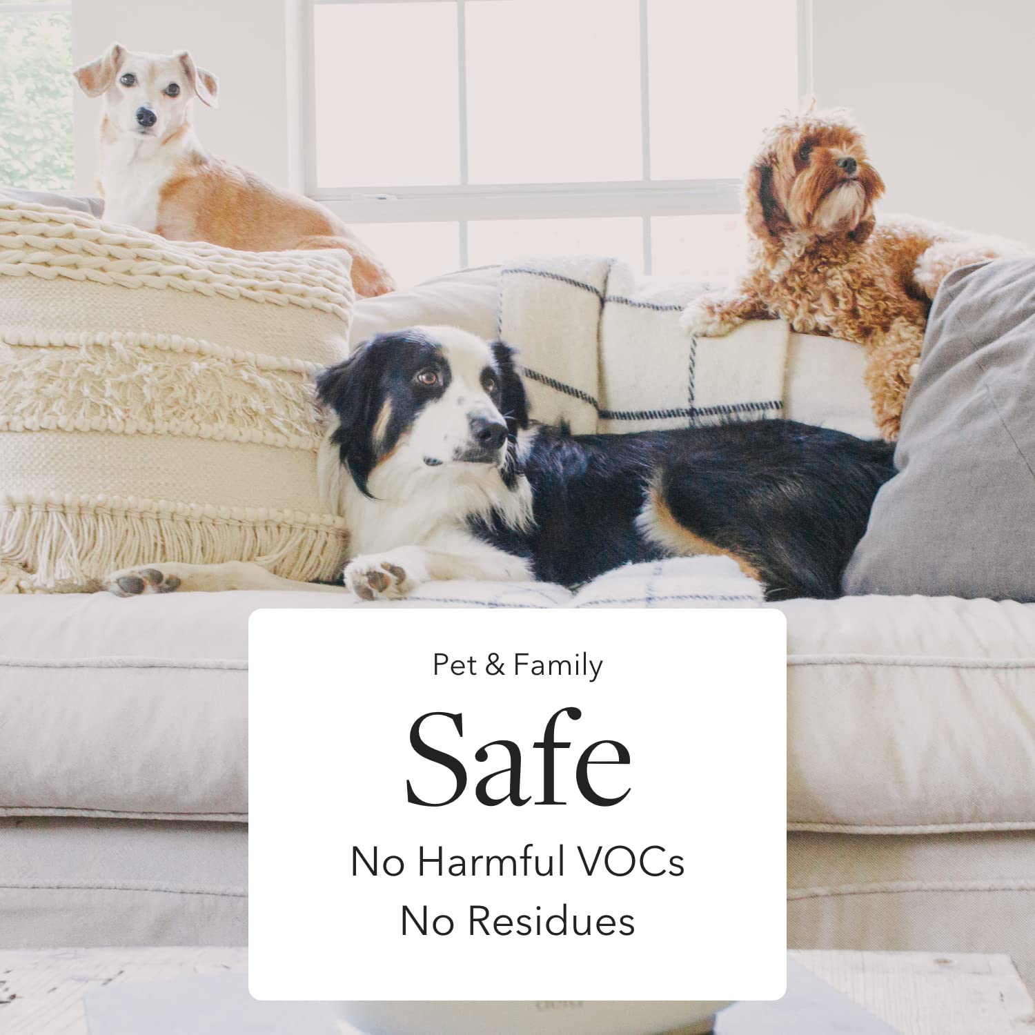 Aera Agraria hypoallergenic formula is family- and pet-safe.