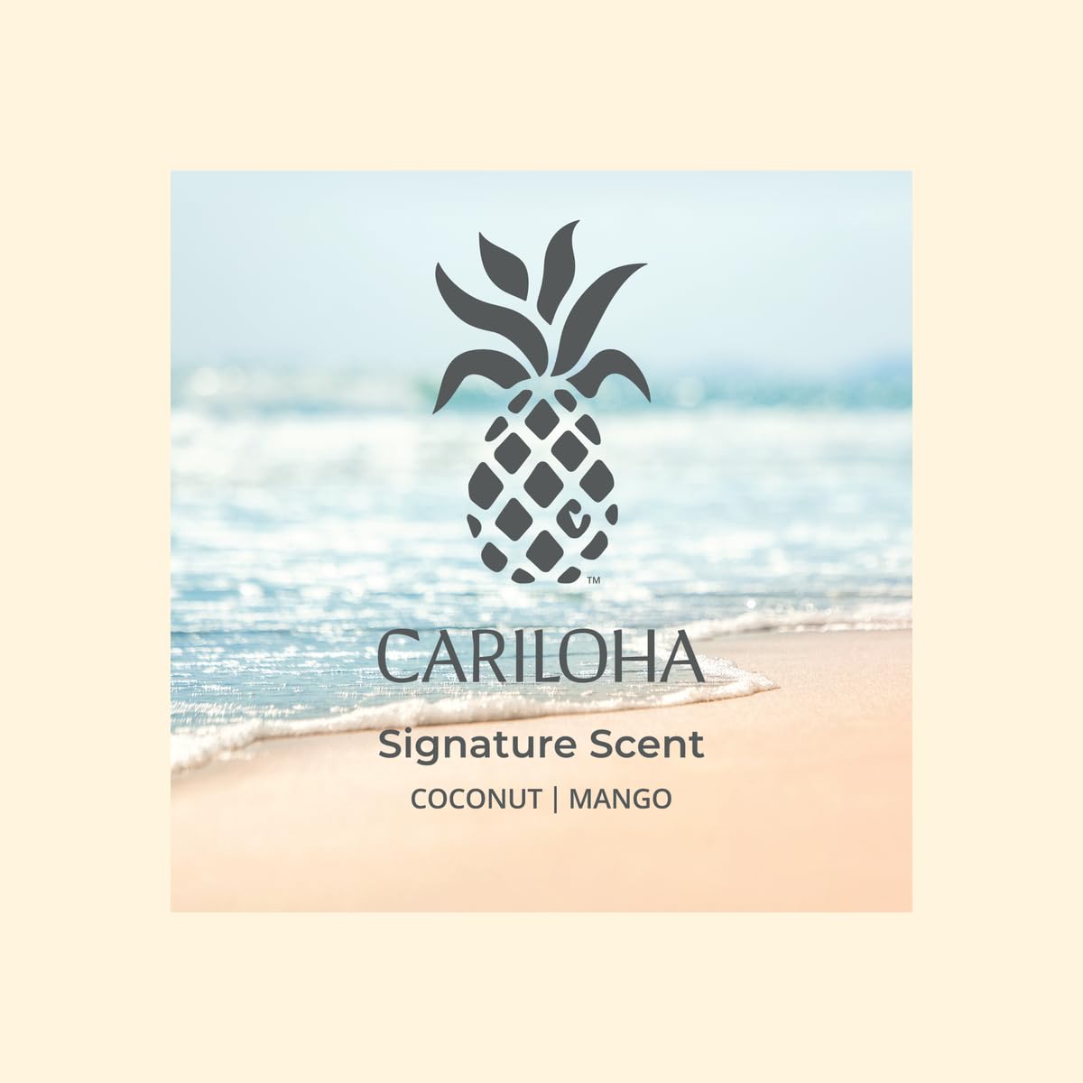 Aera Cariloha Signature refill packaging for easy, mess-free restocking.