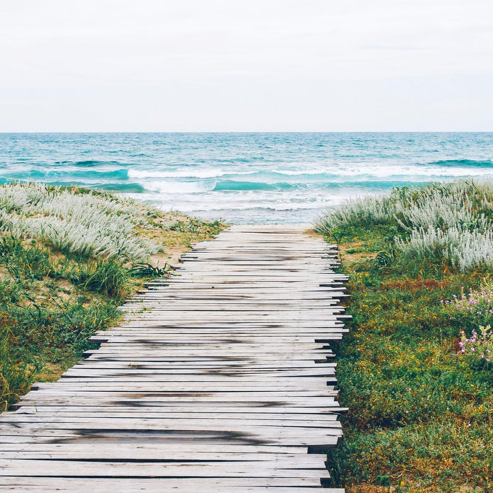 Aera diffuser controlled by Alexa and Aera app