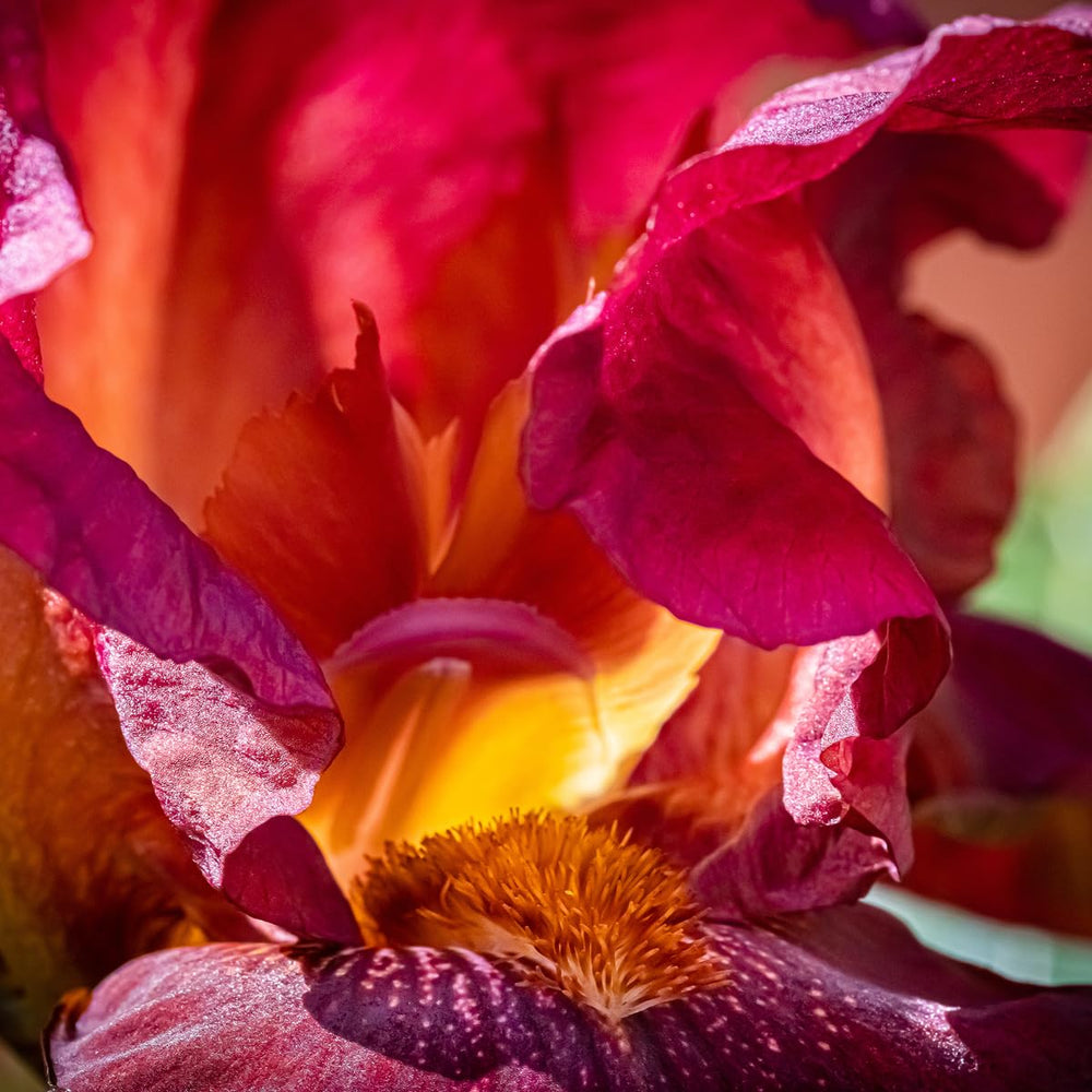 White sleek diffuser design