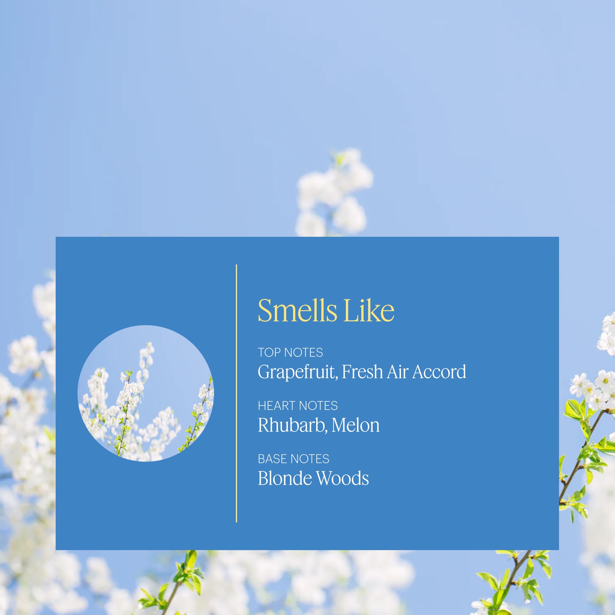 Aera diffuser setup with Good Riddance Smoke Odor for even diffusion