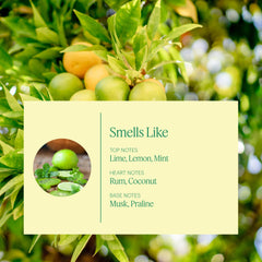 Aera Havana Breeze label highlights lime and mint notes for refreshing ambience.