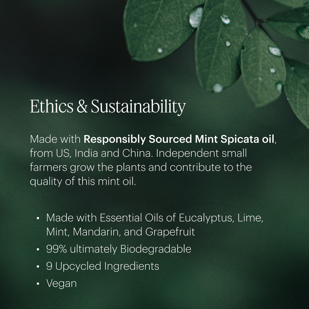 Aera Havana Breeze 12.5mL refill packaging designed for easy use with the Mini Diffuser.