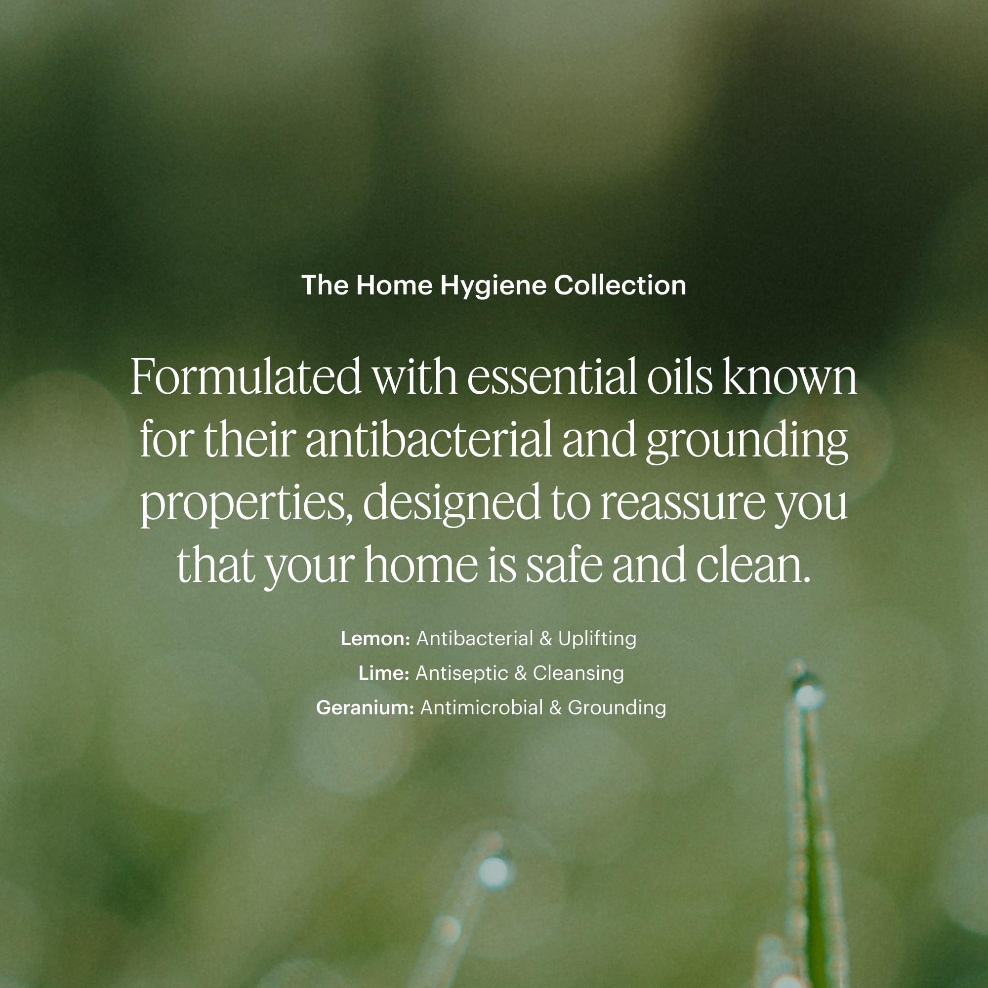 Close-up of lemon, lime and geranium notes from Aera Citrus and Sage.