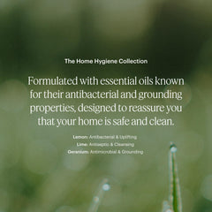 Close-up of lemon, lime and geranium notes from Aera Citrus and Sage.