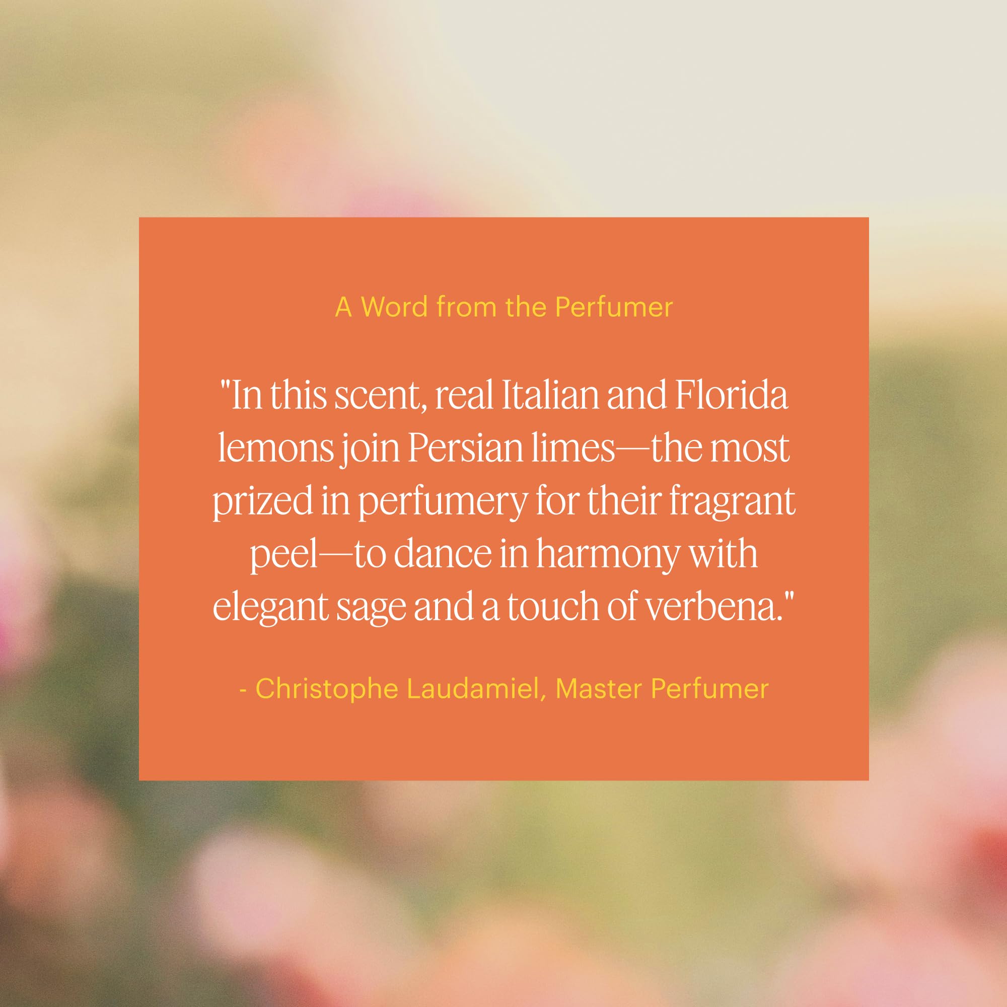 Fragrance notes: lemon, orange, clary sage and cedar