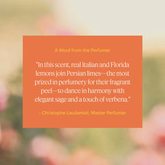 Fragrance notes: lemon, orange, clary sage and cedar