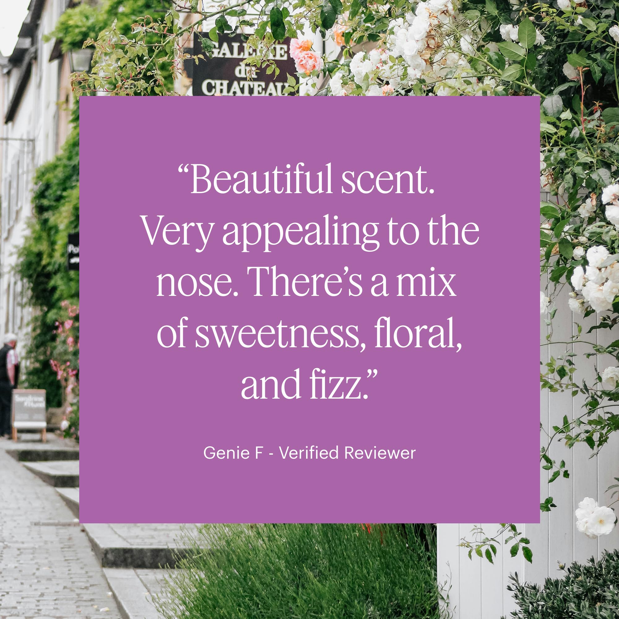 Diffuser capsule compatible with Aera Mini Diffuser