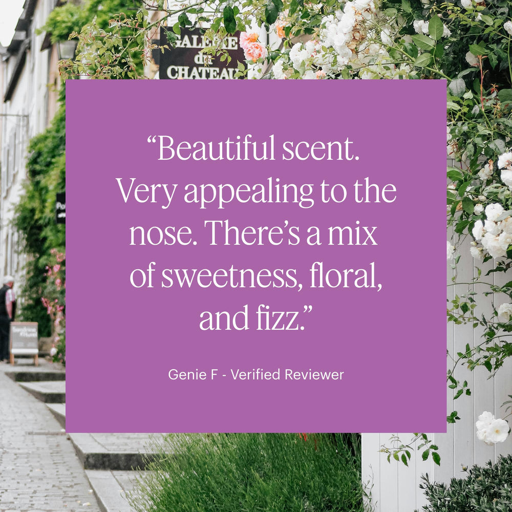 Diffuser capsule compatible with Aera Mini Diffuser