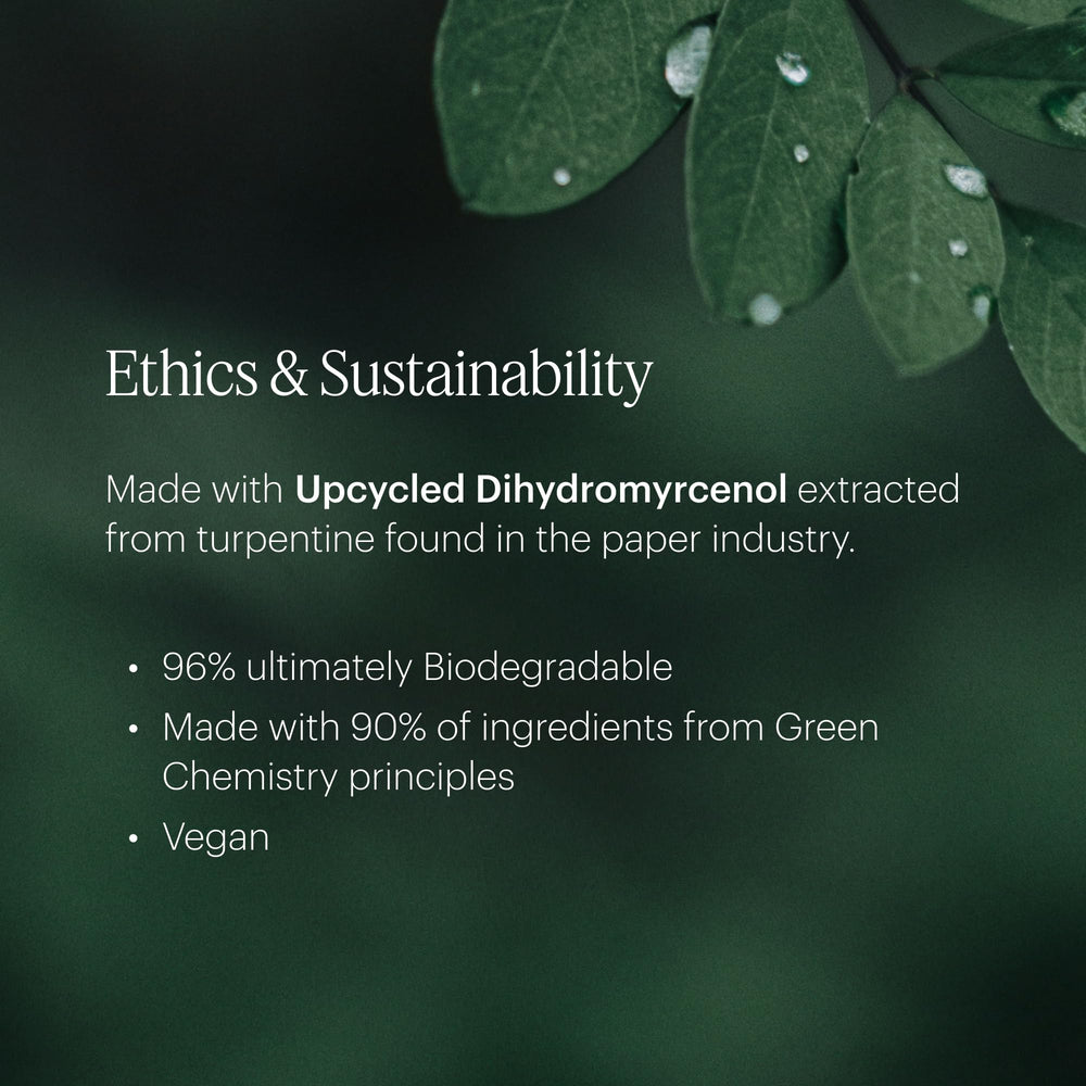 Fragrance note visuals featuring champagne and macarons