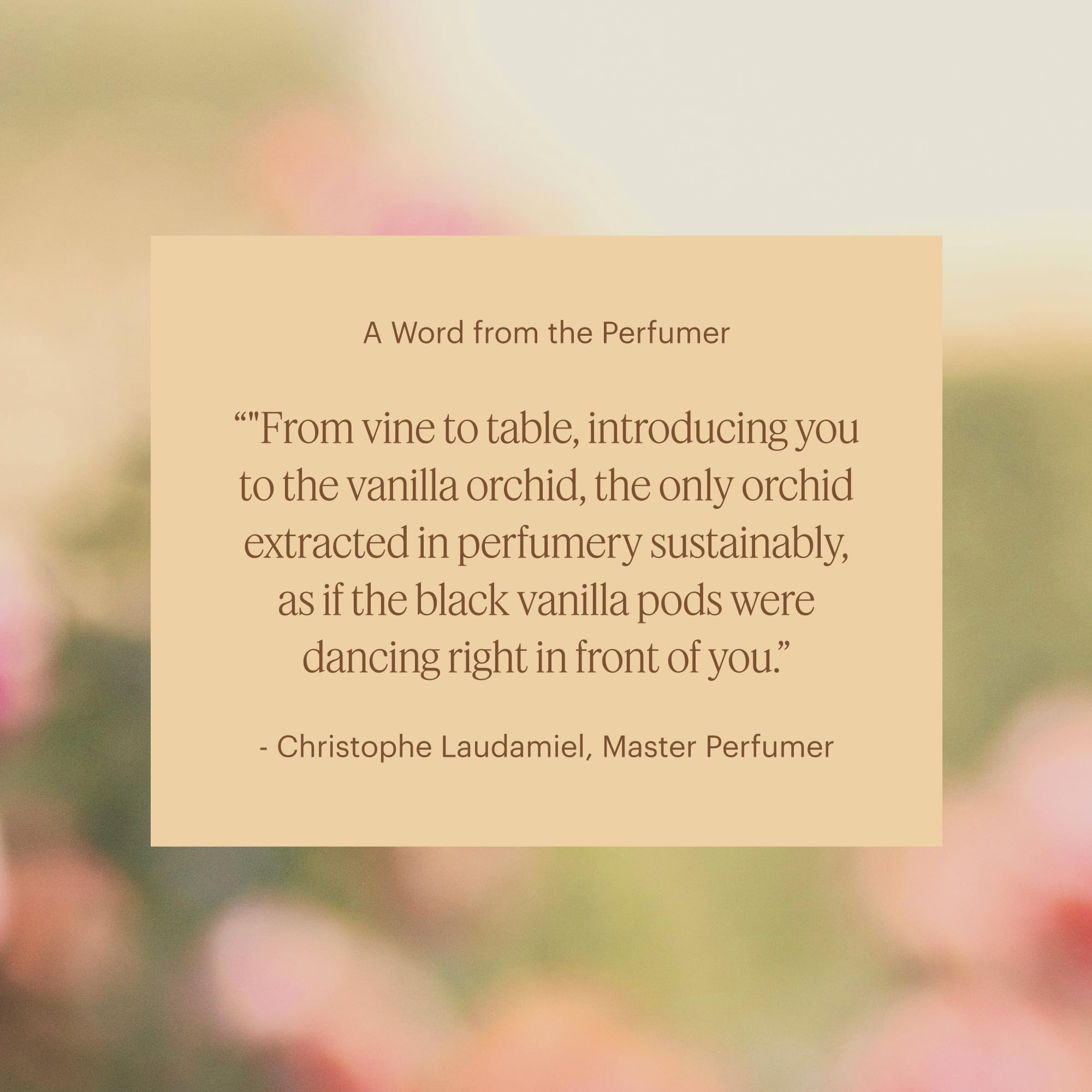 Aera Mini diffuser cap and scent refill