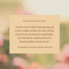 Aera Mini diffuser cap and scent refill