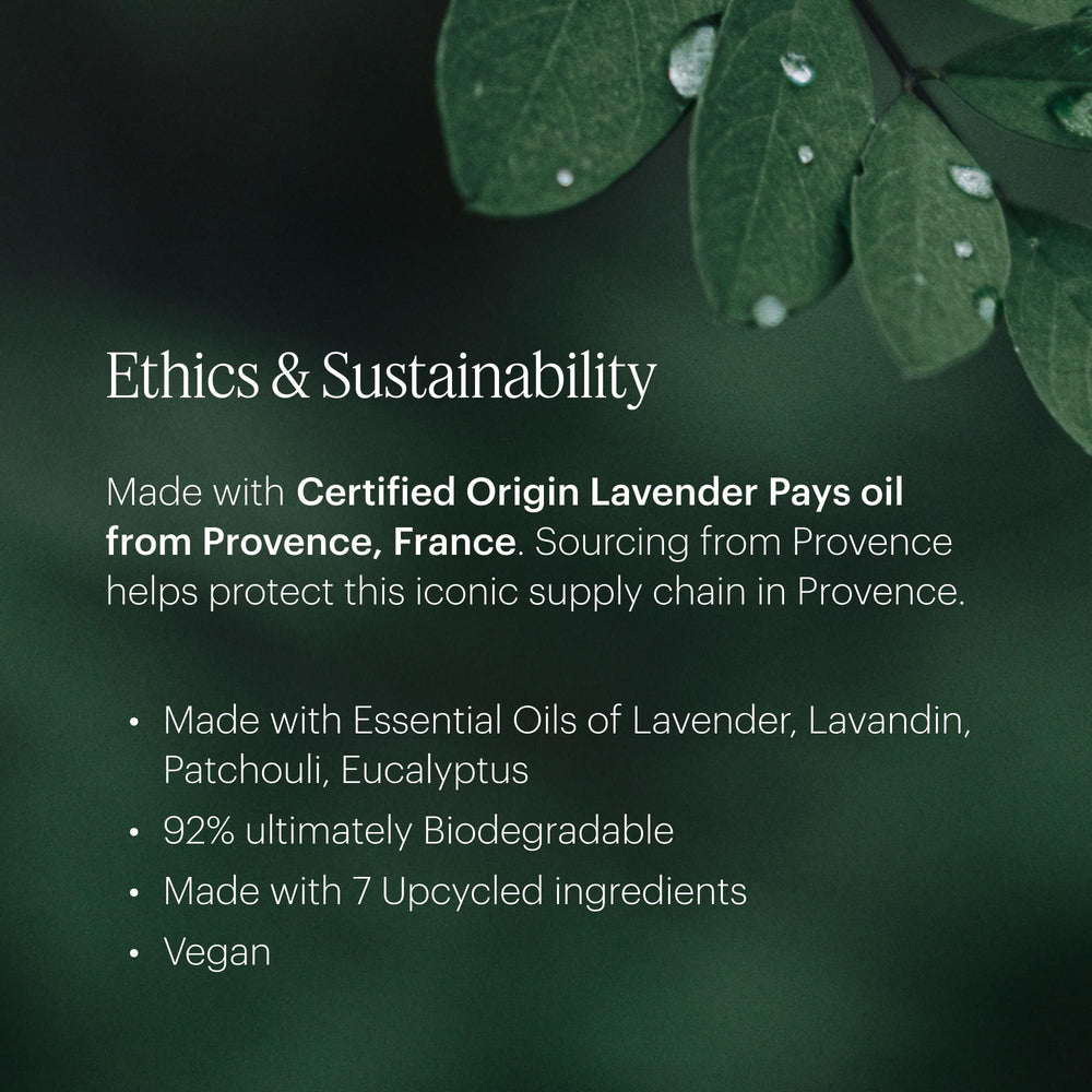 Fragrance notes of lavender, chamomile and cedar leaf