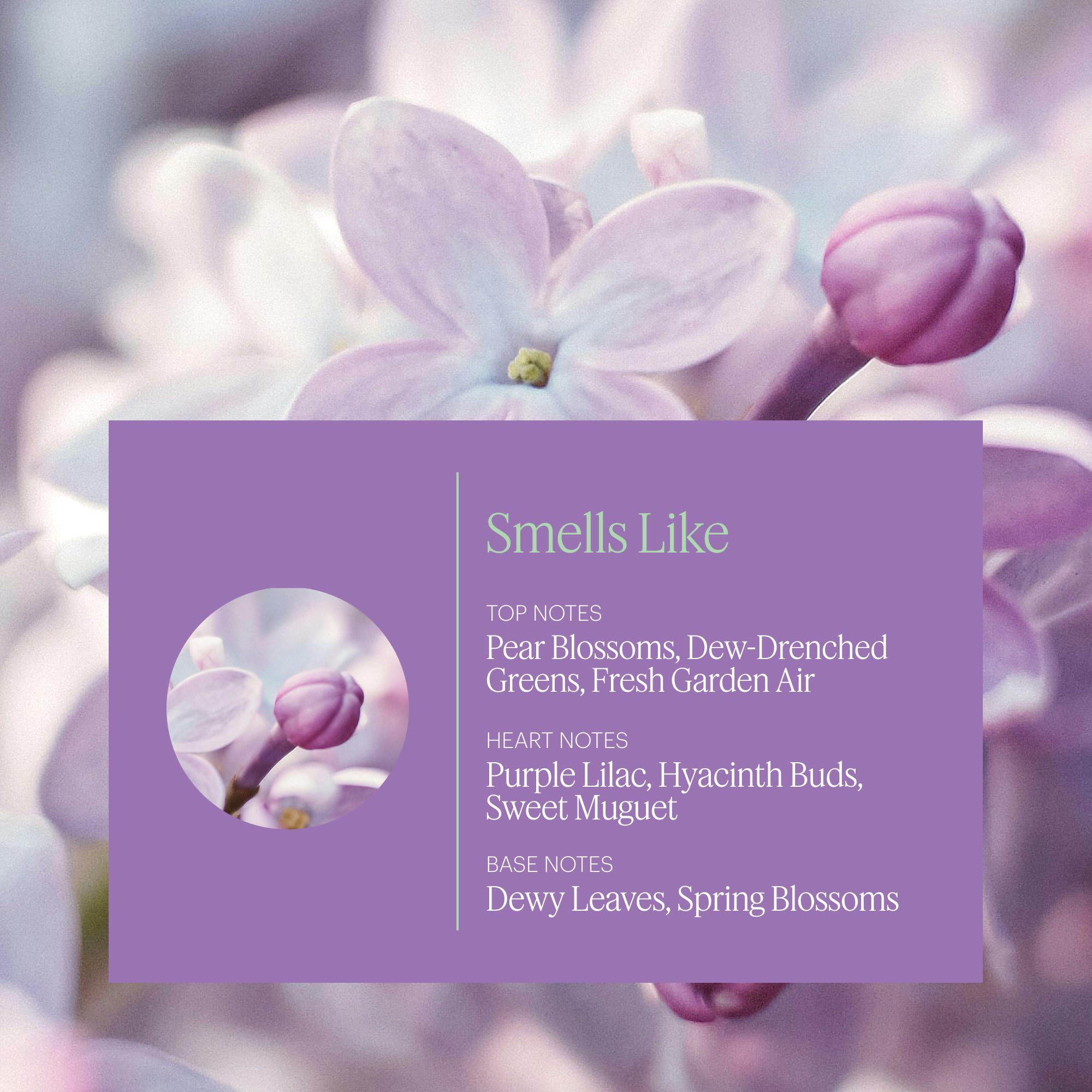 Lilac Daydream fragrance capsule for Mini Diffuser