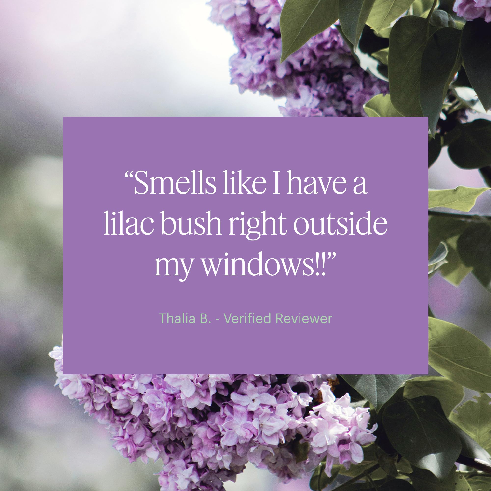 Eco-friendly packaging of Lilac fragrance capsule