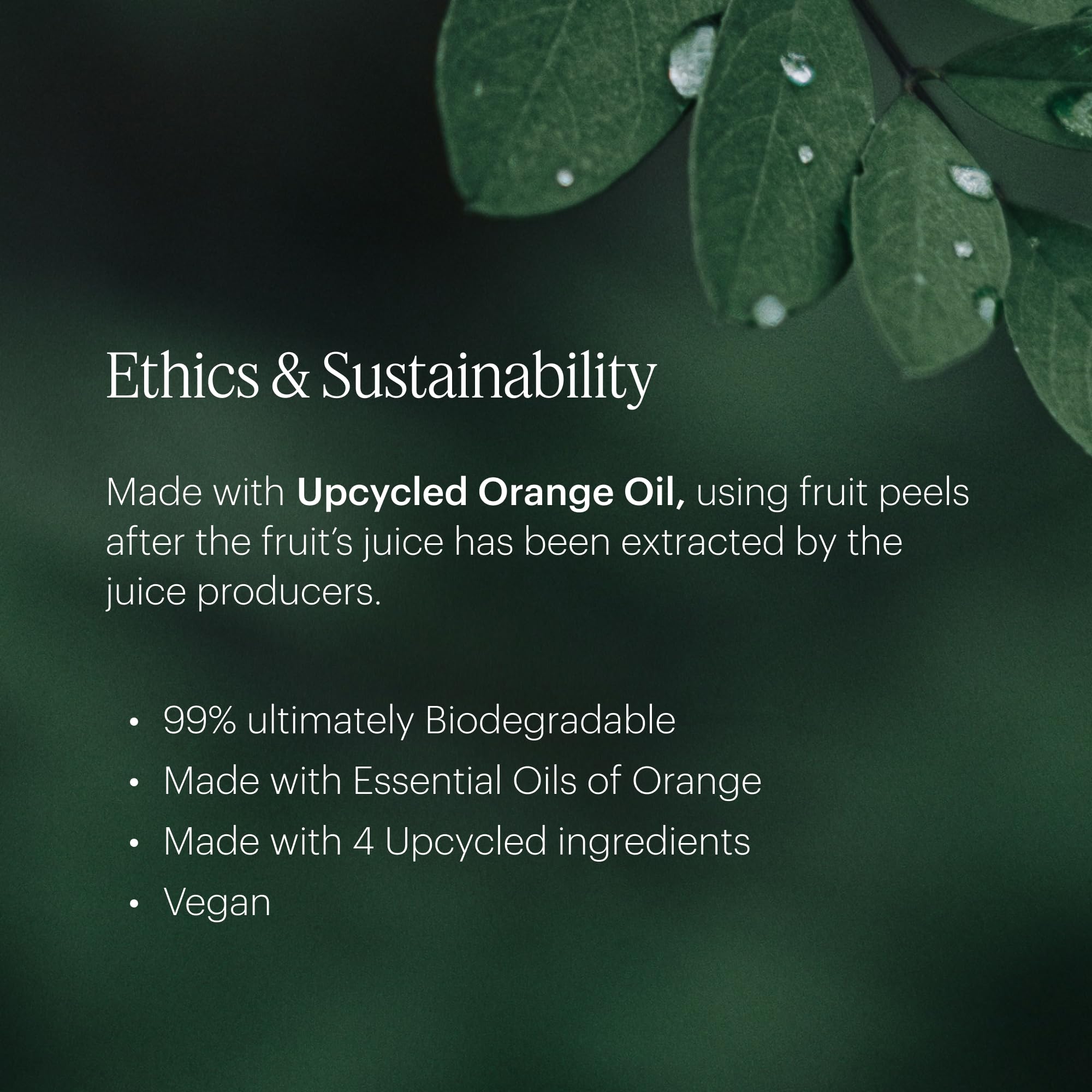 Fragrance notes: dewy leaves and spring blossoms