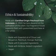 Guaiac wood and amber-inspired color palette for Moondance