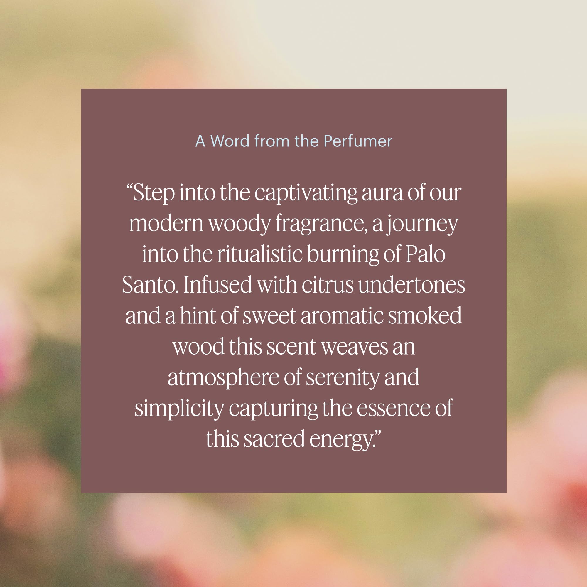 Aera Mini Diffuser compatible Palo Santo refill bottle