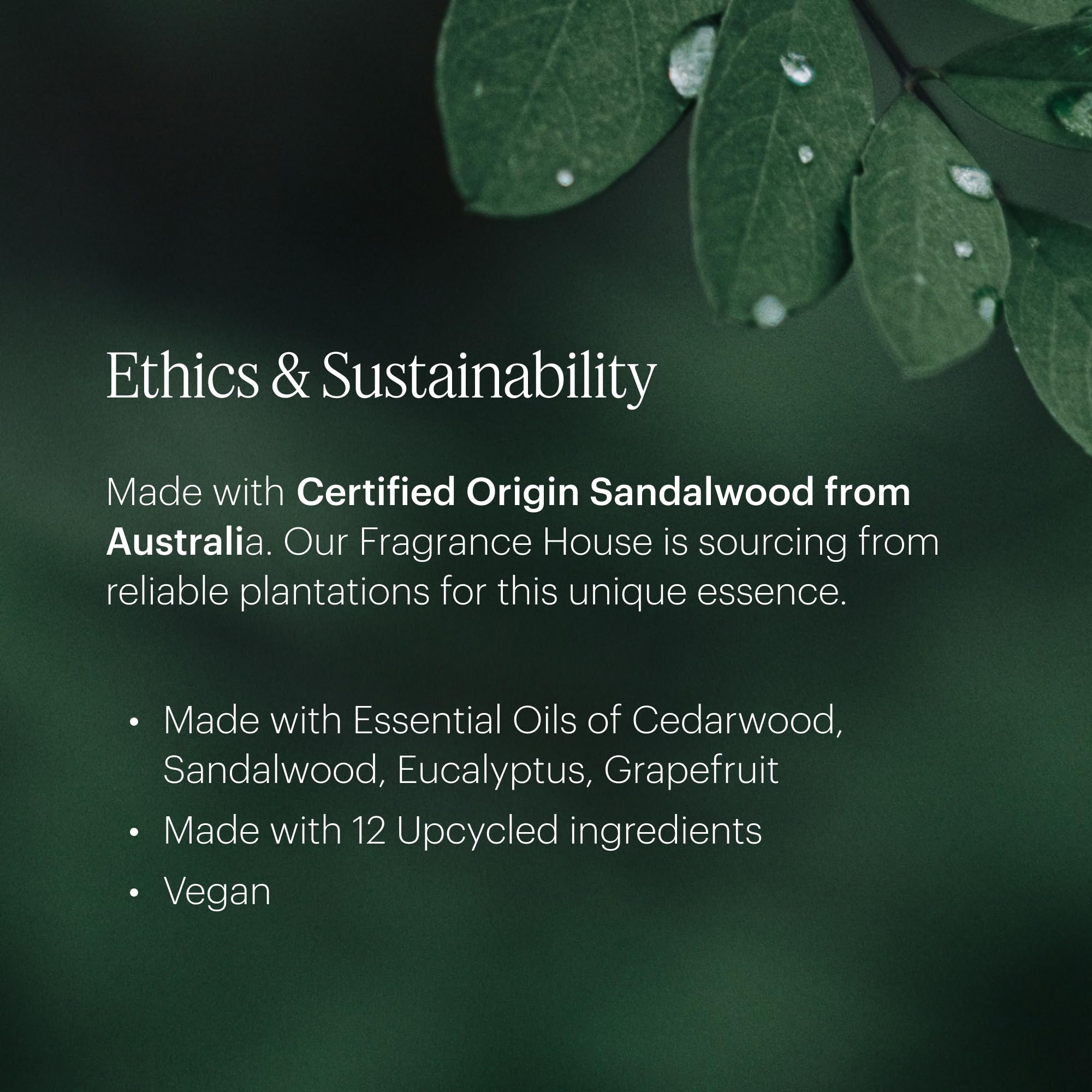 Eco-friendly packaging highlighting sustainable ingredients