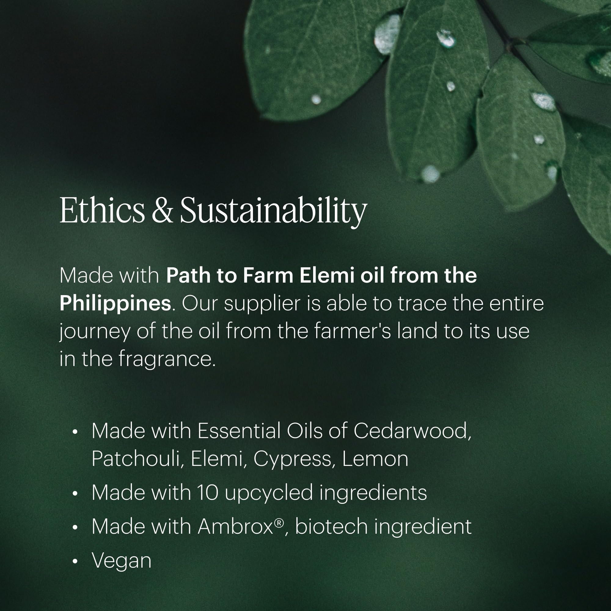 Ingredients: cedarwood, patchouli, elemi and others