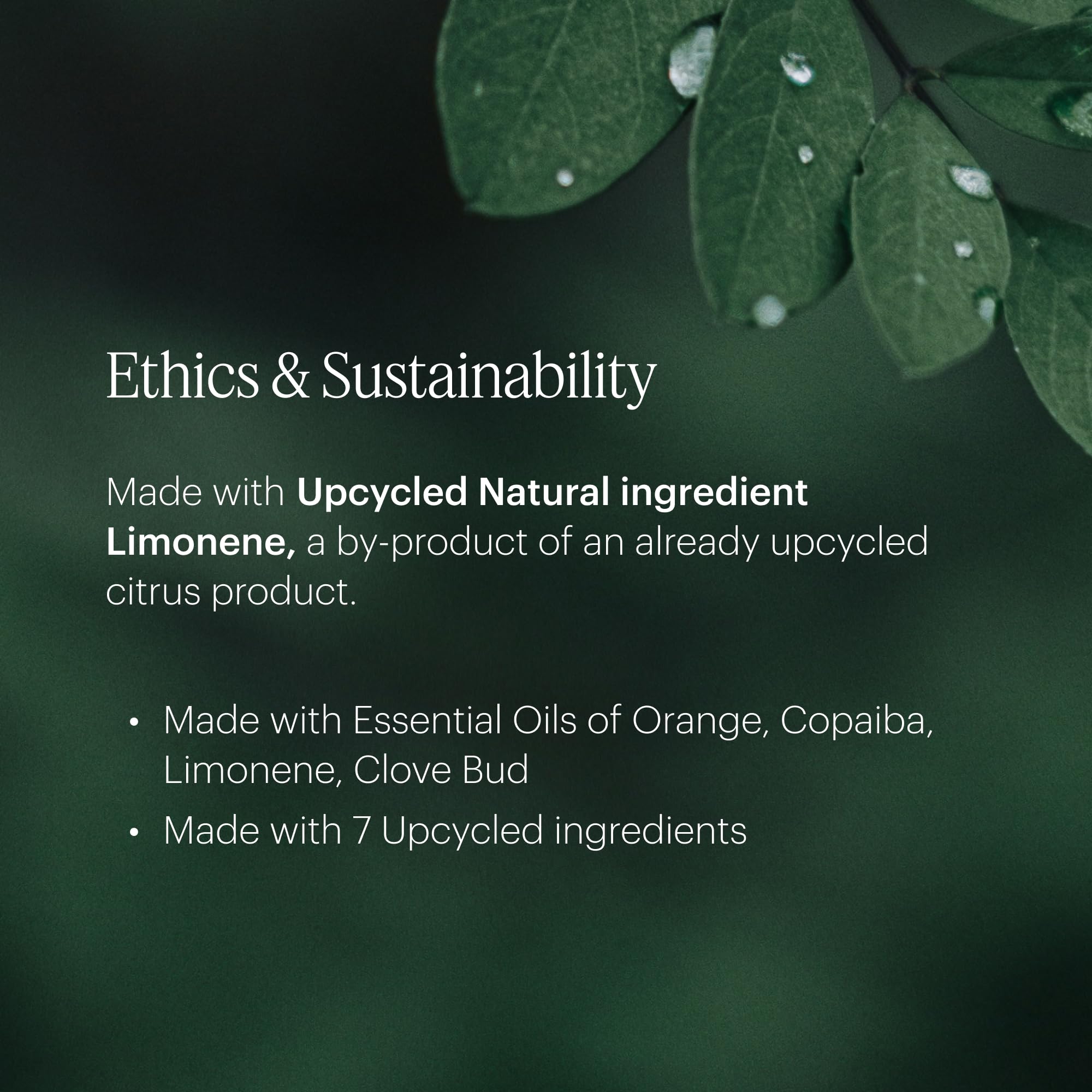 Bottle displaying essential oils like orange and clove bud