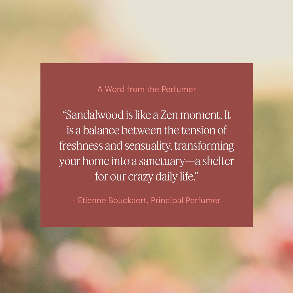 Capsule-sized scent refill for mini diffuser