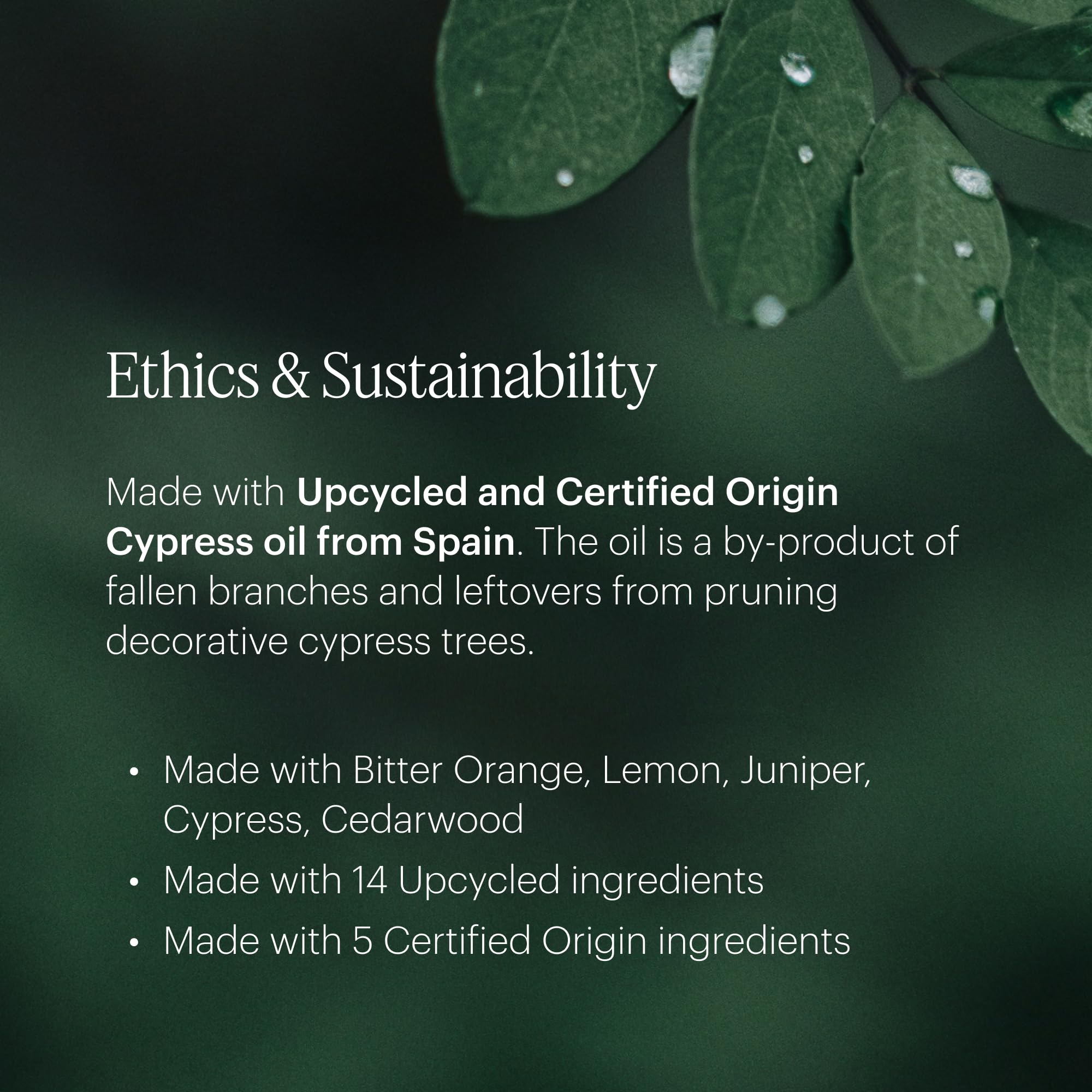 Eco-friendly packaging and upcycled ingredients label