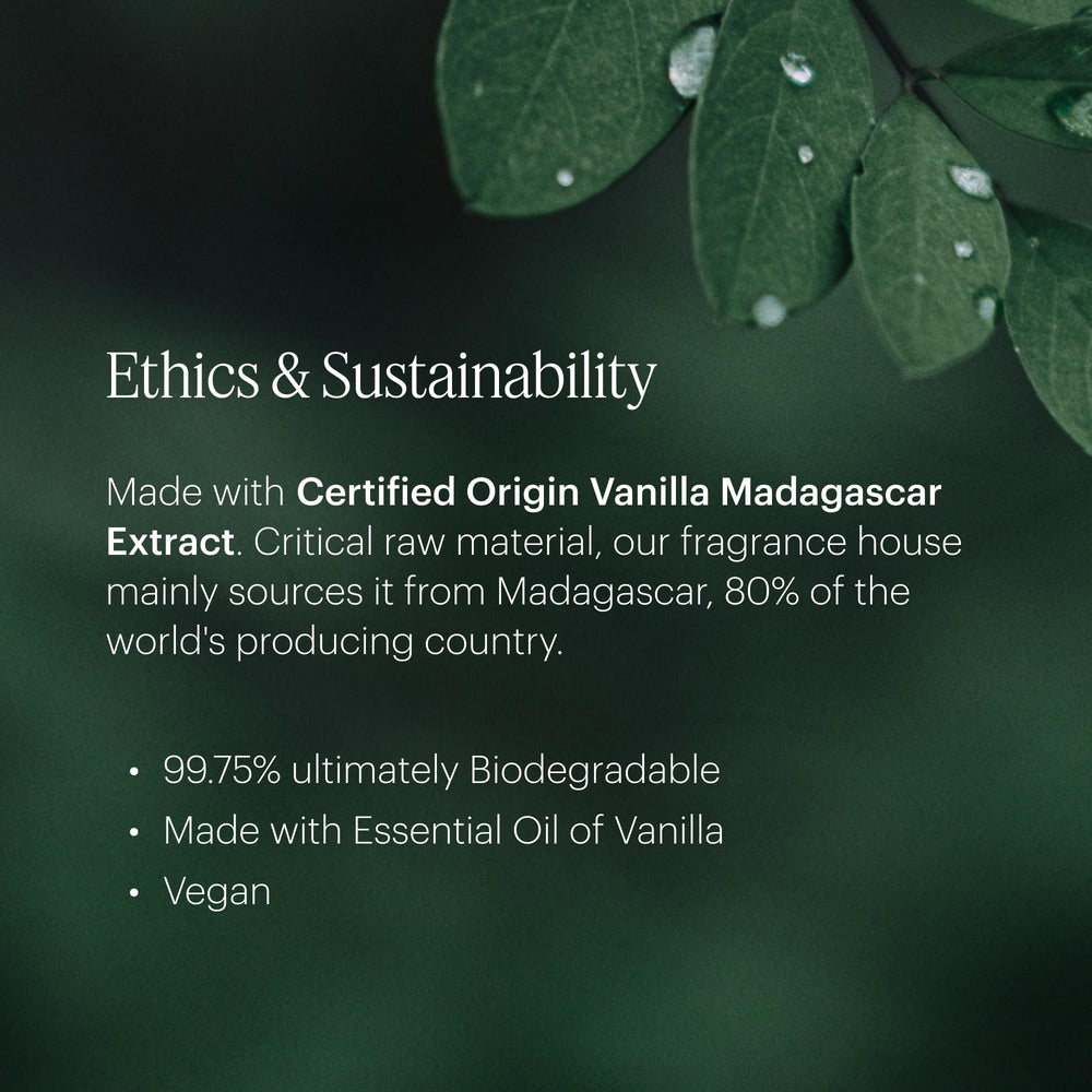 Scent refill packaging for Aera Mini Vanilla